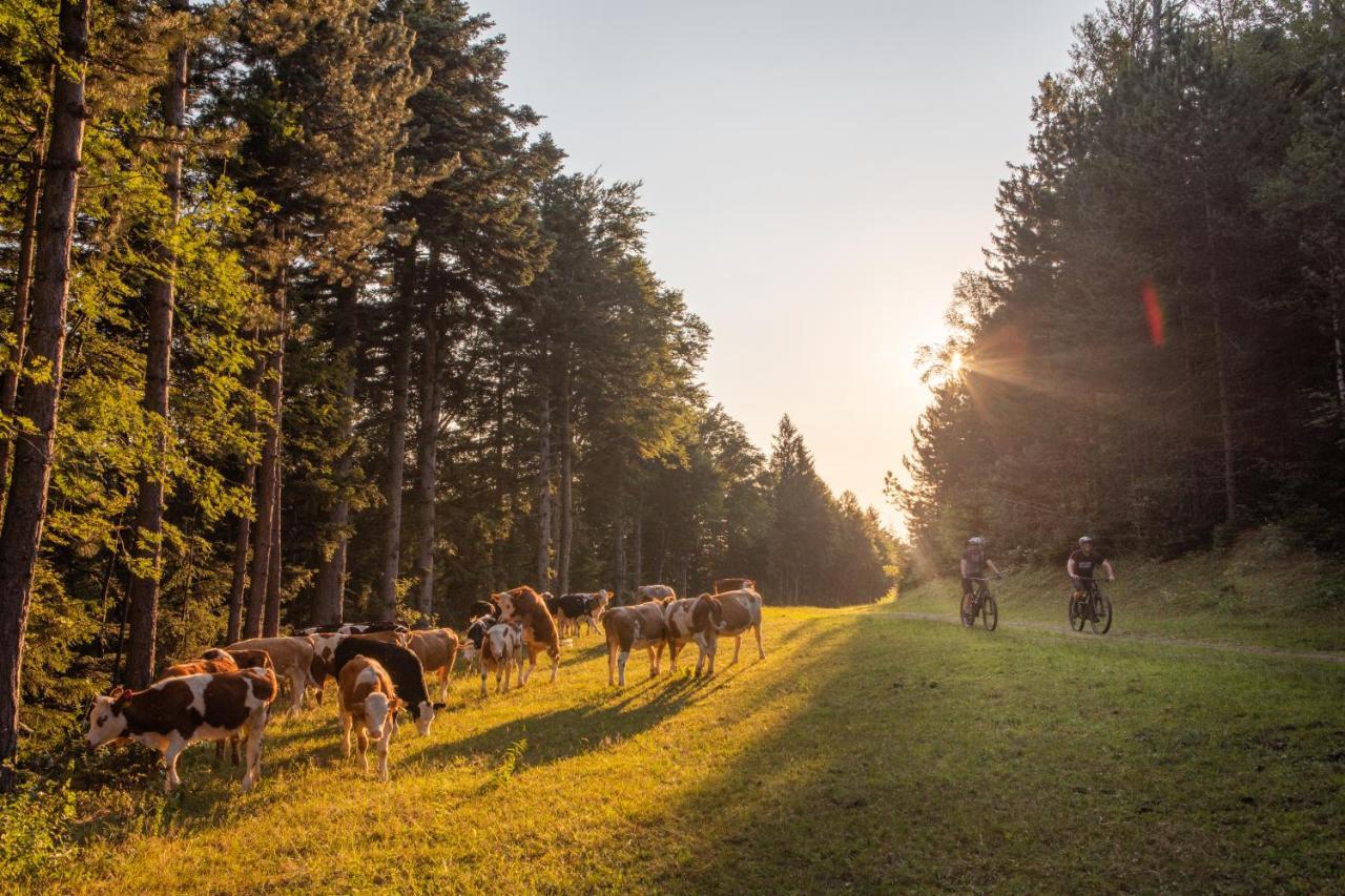 Pohorje Village Wellbeing Resort - Wellness & Spa Hotel Bolfenk Maribor Luaran gambar